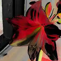 Picture for song 'Ache (VST AG)' by artist 'Viking Blues'