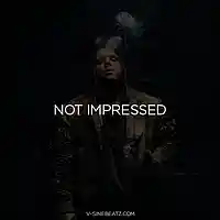 Picture for song 'Not Impressed (Buy 1 Get 1-3 FREE)' by artist 'V-Sine Beatz'