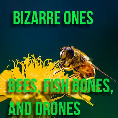 Picture for song 'Bees, Fish Bones, And Drones Part One' by artist 'Bizarre Ones Studios'