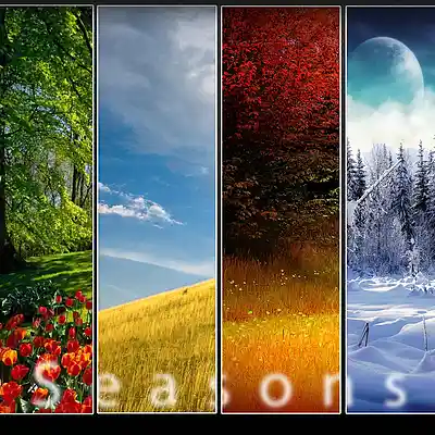 Picture for song '5 SEASONS - Part 4' by artist 'ClassyLass'
