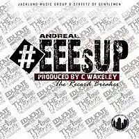 Picture for song 'EEEsUP Produced by C Wakeley Da Record Breaker' by artist 'Country Fly'