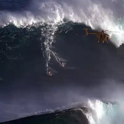 Picture for song 'Jaws' by artist 'Flying Fox'