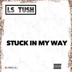 Picture for song 'Stuck-in-my-way' by artist 'Ls tush'