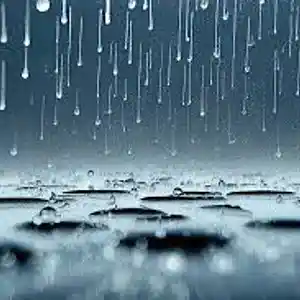 Picture for song 'Rain' by artist 'Pete Moss and the Weed Wackers'