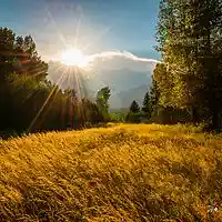 Picture for song 'Golden Meadows of Paradise' by artist 'Peter Kosta's Galaxy Rock Band'