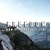 Picture for song '..:: FREEDOM ::.. (FreeDL!)' by artist 'VEYSIGZ BEATS'