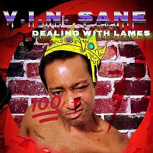 Picture for song 'Dealing With Lames' by artist 'V.I.N. Sane'