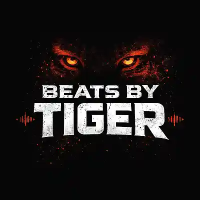 Picture for song 'Vanished' by artist 'Beats By Tiger'