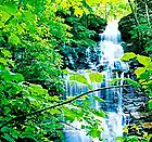 Picture for song 'Battle Cry' by artist 'DrEaMzMuSiK'