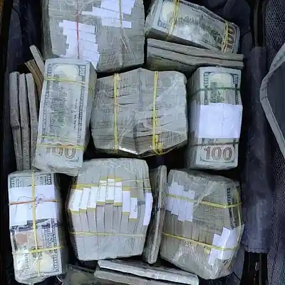 Picture for song 'NEED DAT' by artist 'Nick Vanelli'