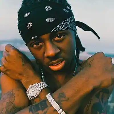 Picture for song 'BIRD FLU - Lil Wayne x Young MA (Buy 1 Get 3 Free)' by artist 'NY BANGERS'
