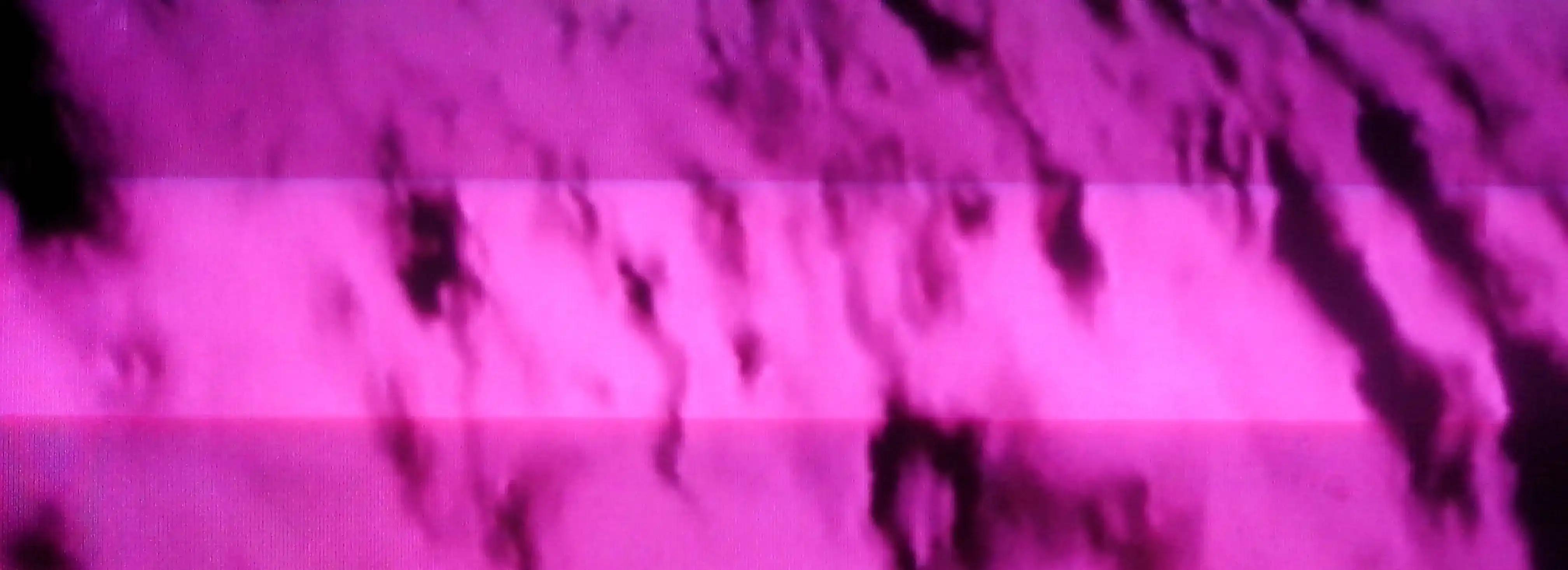 cover pic