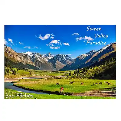 Picture for song 'Sweet Valley Paradise' by artist 'Bob Forbes'