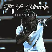 Picture for song 'Its A Miracle (Fetty Wap Type Beat)' by artist 'Don Green Music'