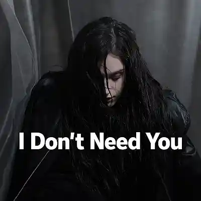 Picture for song 'I Don't Need You' by artist 'JayTurnThatDown'