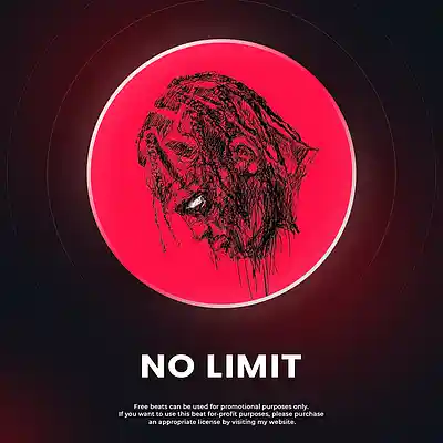 Picture for song 'No Limit' by artist 'JOHN TAO'