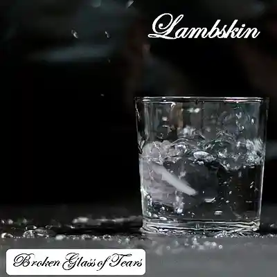 Picture for song 'Shame and Regret' by artist 'Lambskin'