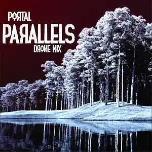 Picture for song 'PARALLELS (Drone Mix)' by artist 'P0RTAL'