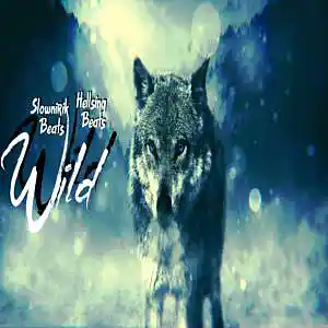 Picture for song 'Wild' by artist 'Slownirik'