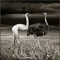 Picture for song 'Wishful thinking....' by artist 'stefanos grigoriadis'