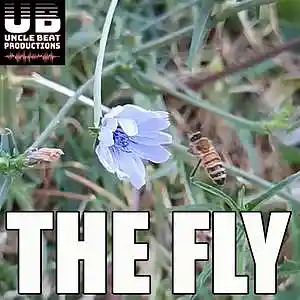 Song picture