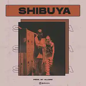 Picture for song 'FEID & MORA TYPE BEAT - SHIBUYA' by artist 'allenzmx'