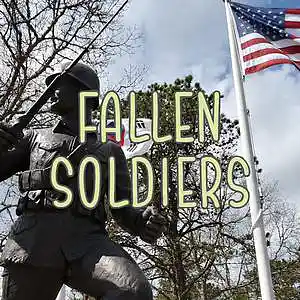 Picture for song 'Fallen Soldiers' by artist 'Anac On The Beat'