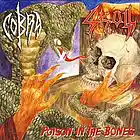 Picture for song 'Cobra (PERU) - Fallen Soldier' by artist 'Asfigmia'