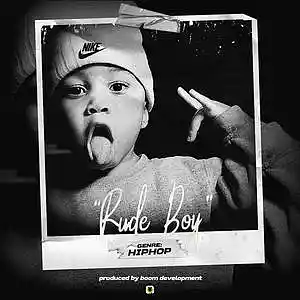 Picture for song 'Rude Boy' by artist 'Booms Beats'