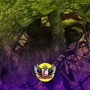 Picture for song 'SLOTH (Post Malone Roddy Ricch Type Beat)' by artist 'Chorderline'