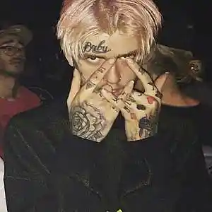 Picture for song '(FREE FOR NON-PROFIT) Lil Peep Guitar Type Beat "N' by artist 'Prod. maiden'