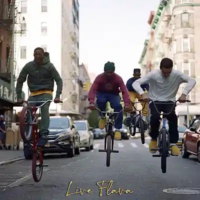 Picture for song ''Live Flava'' by artist 'Larry Soundz'