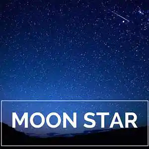 Picture for song 'MOON STAR / Alternative Hip-Hop' by artist 'Le Mak Music'