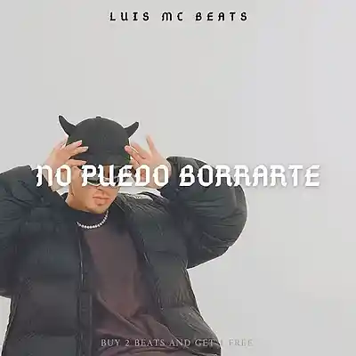 Picture for song 'NO PUEDO BORRARTE' by artist 'Luis Mc Beats'
