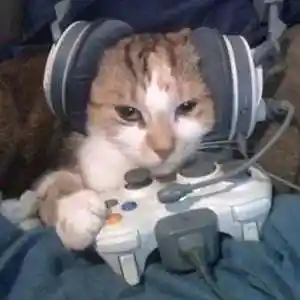 Picture for song 'POPPER - Yeat x Trippie Redd x Lil Uzi Vert' by artist 'nolyrics music group'