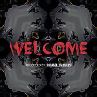 Picture for song 'Welcome' by artist 'Parabellum Beats'
