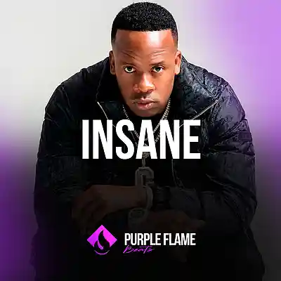 Picture for song 'Insane (Buy 1 Get 1 Free)' by artist 'PURPLE FLAME BEATS'