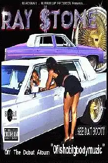 Picture for song 'So Fly' by artist 'Ray Stone'