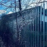 Picture for song 'Peace' by artist 'Rasam'