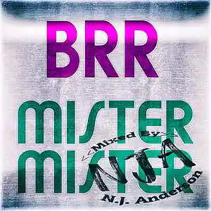 Picture for song 'TF BRR MM mixed by NJA Live' by artist 'Songs Mixed By NJ Anderson'