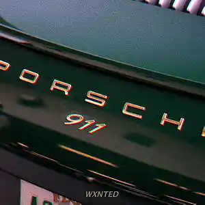 Picture for song '911' by artist 'Wxnted'