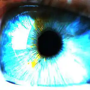Picture for song 'Sharpness of Clarity (Remastered)' by artist 'XL73'