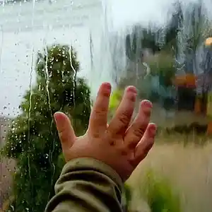 Picture for song 'Warm rain' by artist 'allbestok'