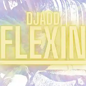 Picture for song 'Flexin' by artist 'DjAdd85'