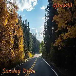 Picture for song 'Home For The Night' by artist 'djbchill'