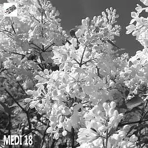 Picture for song 'MEDI 18' by artist 'Eizi Hirahara'