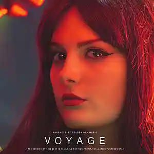 Picture for song 'VOYAGE - Melodic Rap Beat' by artist 'Golden Day'