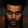 Picture for song 'The Weeknd x SZA Type Beat -"Die 4 You"' by artist 'K.I. GotDem Slaps'