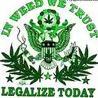 Picture for song 'Minnesota Grown' by artist 'Jeremy Potter'