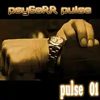Picture for song 'psyGeRR pulse 003' by artist 'psyGeRR'